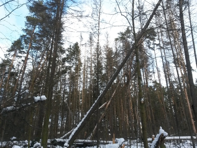20131215_121247.jpg