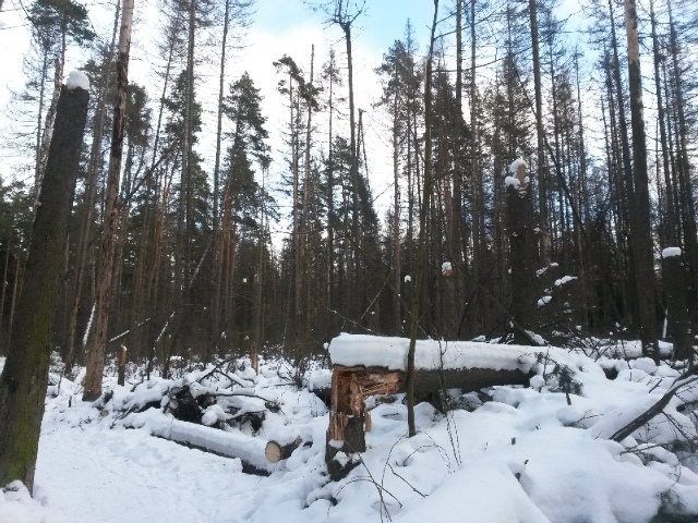 20131215_121254.jpg