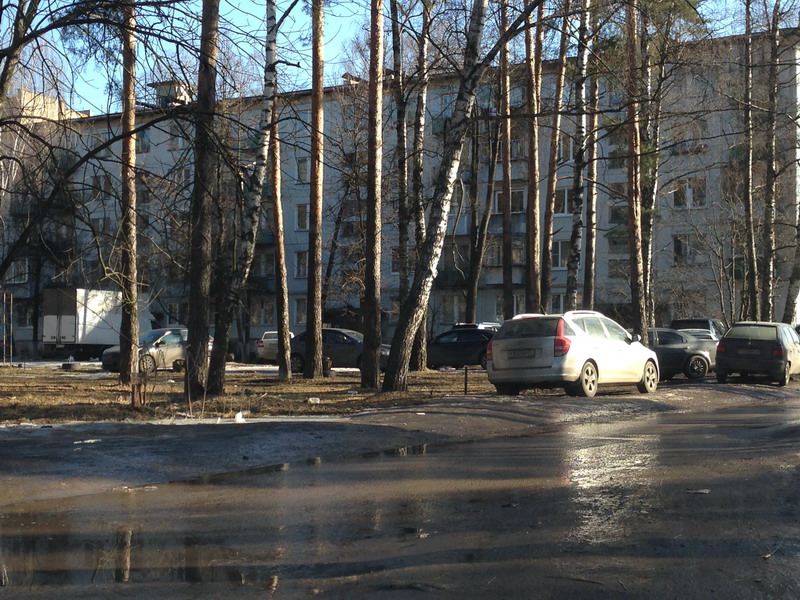 Маслова1