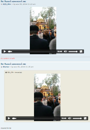 wtf.jpg