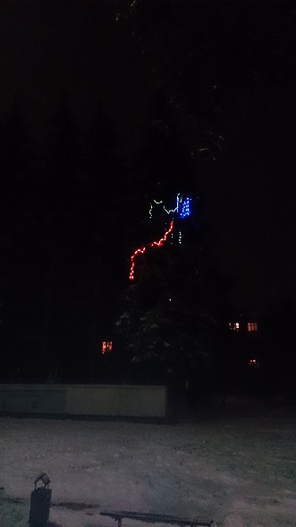 DSC_0013.JPG