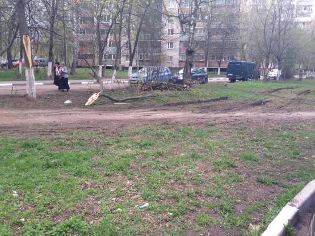 image3.JPG