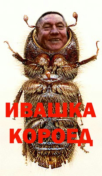 Иван Короедович !.jpg