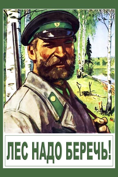 лес надо беречь !.jpg