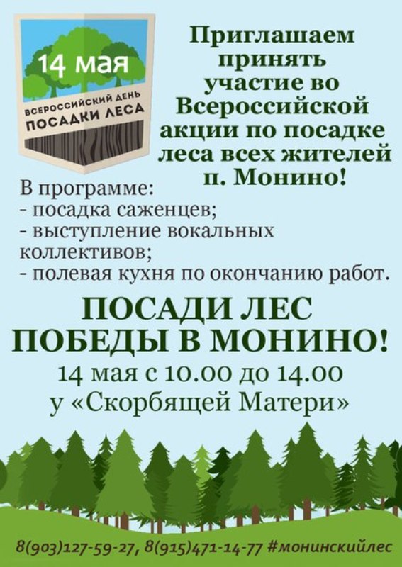 Посади лес.jpg