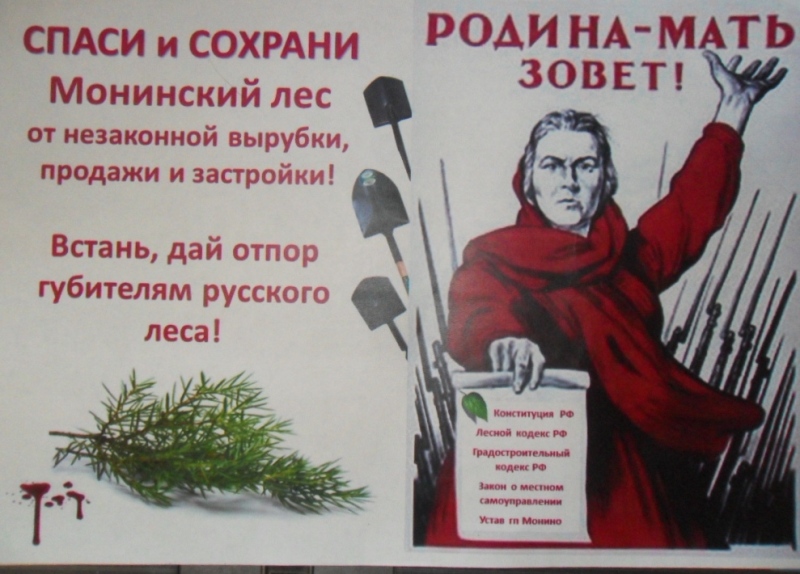 SDC11703.JPG