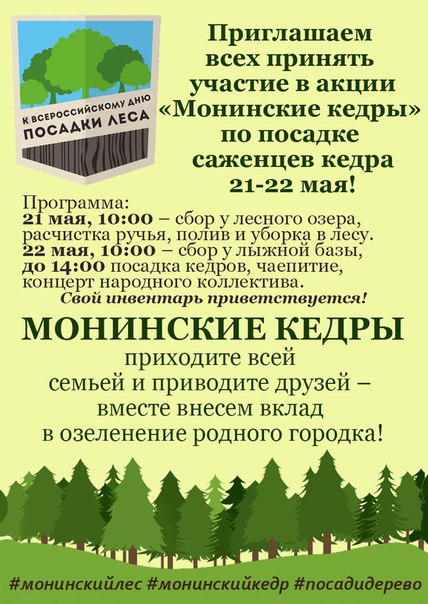 монинские кедры.jpg