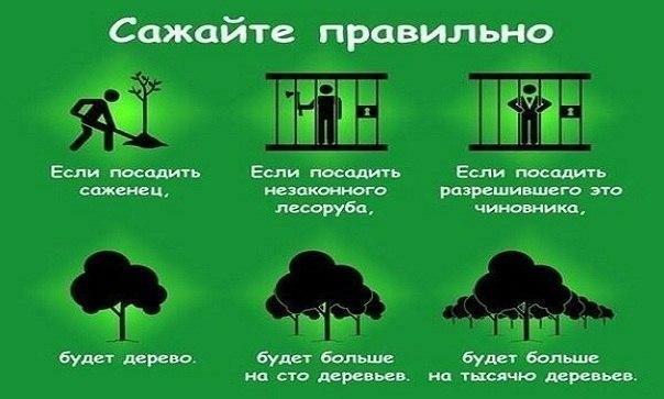 0.02.01.6a84a7d58716ec2960179bcf00e379cbbb3ebb3b3d0d0cbf2f9c8c5244012db0_full.jpg
