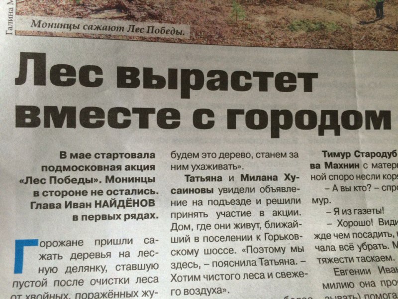 лес вырастет вместе с городом.jpg