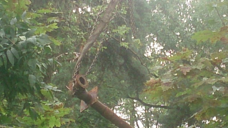 sk_03082016-4.jpg